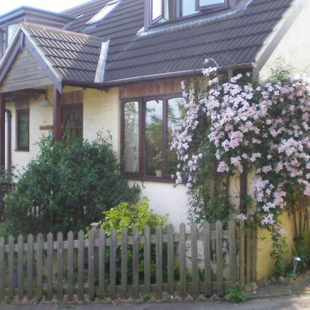 Skerries B And B Lyme Regis Ngoại thất bức ảnh